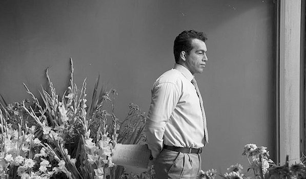 اخبار فرهنگی,خبرهای فرهنگی,فیلم سینمایی اخبار فرهنگی,خبرهای فرهنگی,فیلم سینمایی