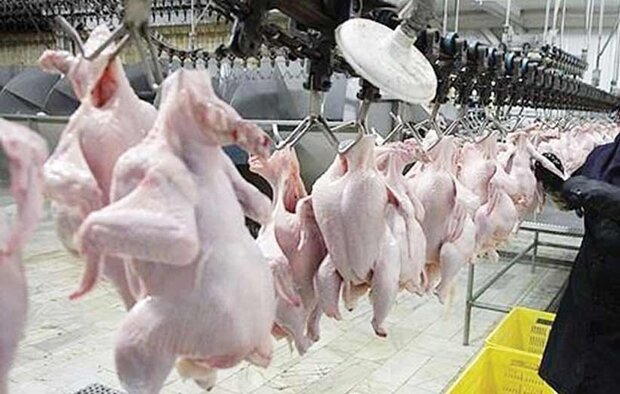 اخبار اقتصادی ,خبرهای اقتصادی ,نرخ مرغ اخبار اقتصادی ,خبرهای اقتصادی ,نرخ مرغ