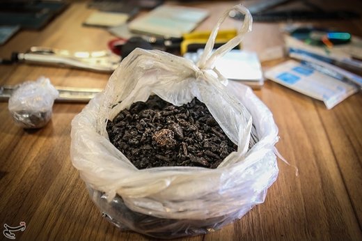 اخبارحوادث,خبرهای حوادث ,حوادث روز اخبار حوادث,خبرهای حوادث ,حوادث روز