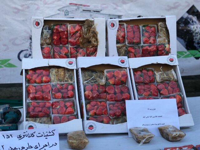 اخبارحوادث,خبرهای حوادث ,حوادث روز اخبار حوادث,خبرهای حوادث ,حوادث روز