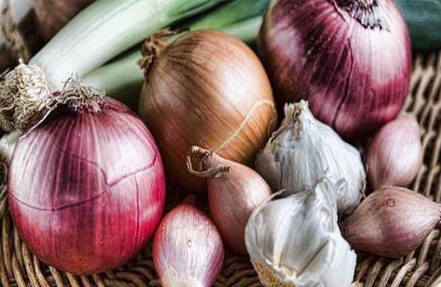 اخبار پزشکی ,خبرهای پزشکی ,سرطان روده اخبار پزشکی ,خبرهای پزشکی,سرطان روده