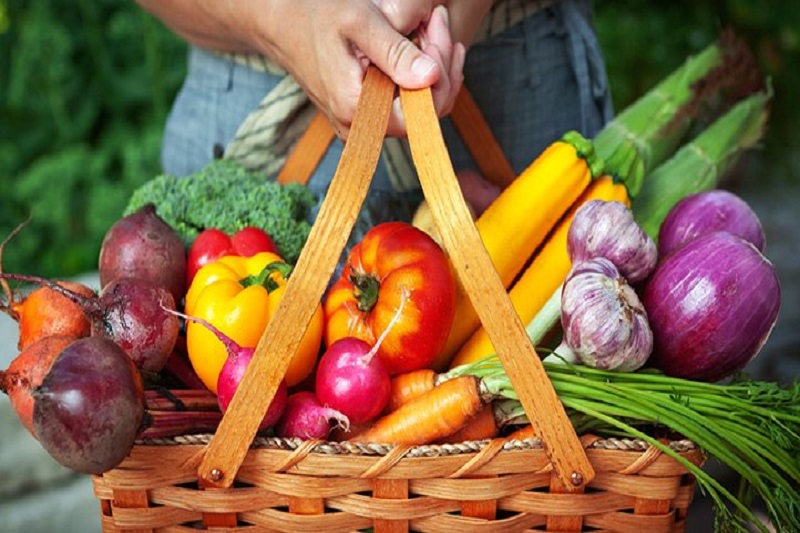 اخبار پزشکی ,خبرهای پزشکی , رژیم غذایی اخبار پزشکی ,خبرهای پزشکی, رژیم غذایی