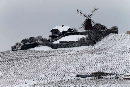 عکسهای جالب,عکسهای جذاب,تاکستان 