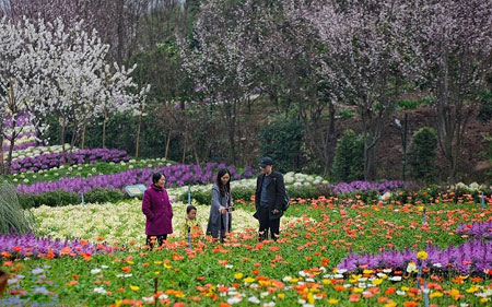 عکسهای جالب,عکسهای جذاب,عکاسان 