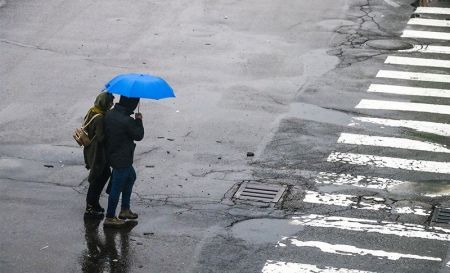 اخبار,اخبار اجتماعی,بارش باران در کشور