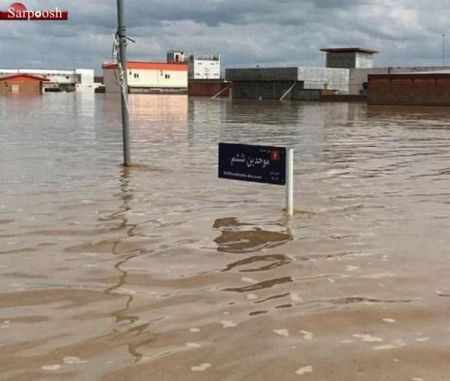 اخبار,اخبار فرهنگی,واکنش چهره‌ها به وقوع سیل اخیر در مازندران و گلستان