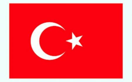اخبار,اخبار سیاست خارجی,ترکیه