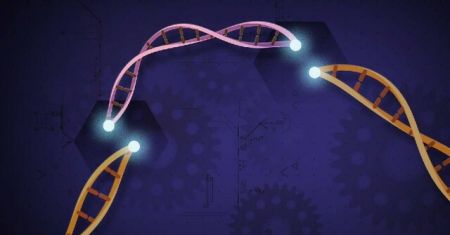 فناوری ویرایش ژن چیست و چه کاربردهایی دارد؟