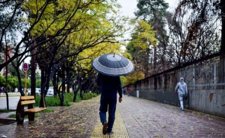  اخبار اجتماعی ,خبرهای اجتماعی,بارندگی 