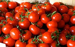 اخبار اقتصادی ,خبرهای اقتصادی , قیمت گوجه اخبار اقتصادی ,خبرهای اقتصادی , قیمت گوجه