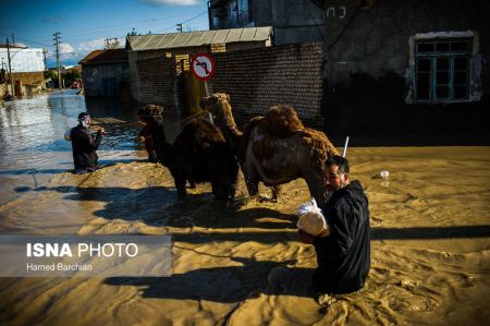  اخبار اجتماعی ,خبرهای اجتماعی,سیل در استان گلستان