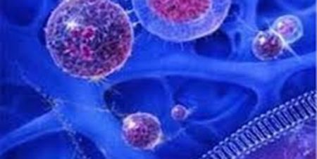 اخبار علمی,خبرهای علمی ,سلولهای بنیادی اخبار علمی ,خبرهای علمی,سلولهای بنیادی