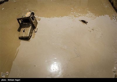 اخباراجتماعی ,خبرهای اجتماعی ,سیل گلستان اخبار اجتماعی ,خبرهای اجتماعی,سیل گلستان