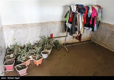 اخباراجتماعی ,خبرهای اجتماعی ,سیل گلستان اخبار اجتماعی ,خبرهای اجتماعی,سیل گلستان