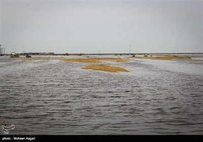  اخبار اجتماعی ,خبرهای اجتماعی,سیل گلستان