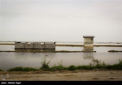 اخباراجتماعی ,خبرهای اجتماعی ,سیل گلستان اخبار اجتماعی ,خبرهای اجتماعی,سیل گلستان
