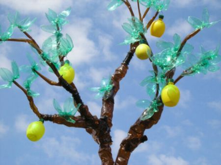 اخبارگوناگون,خبرهای گوناگون ,بطریهای پلاستیکی اخبارگوناگون,خبرهای گوناگون ,بطریهای پلاستیکی