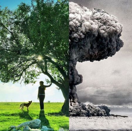 اخبارگوناگون,خبرهای گوناگون ,تصاویر دیدنی اخبارگوناگون,خبرهای گوناگون ,تصاویر دیدنی