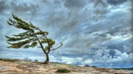اخباراجتماعی ,خبرهای اجتماعی ,هواشناسی اخبار اجتماعی ,خبرهای اجتماعی,هواشناسی