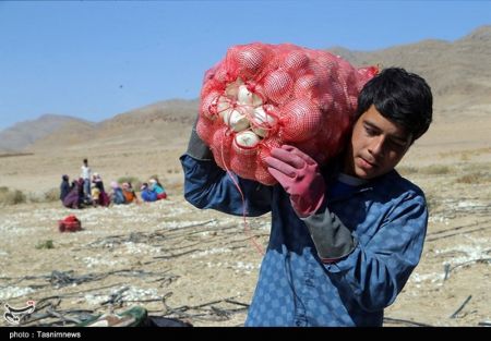 اخبار اقتصادی ,خبرهای اقتصادی , اخبار اقتصادی ,خبرهای اقتصادی ,