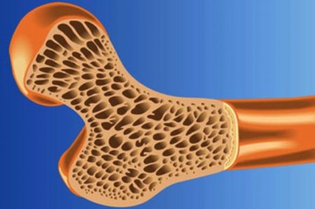 اخبار پزشکی ,خبرهای پزشکی , پروتئین اخبار پزشکی ,خبرهای پزشکی, پروتئین