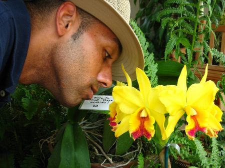 اخبار علمی,خبرهای علمی , ترک سیگار اخبار علمی ,خبرهای علمی, ترک سیگار