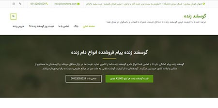 خرید دام زنده خرید گوسفند زنده,نحوه خرید گوسفند زنده,خرید گوسفند در تهران