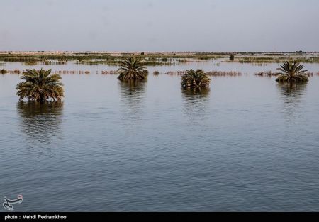 اخبار,اخبار امروز,اخبار جدید