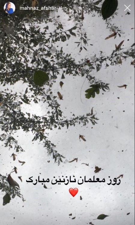 اخبار,اخبار فرهنگی,مهناز افشار