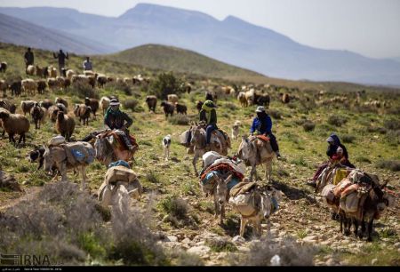 اخبار,عکس خبری,کوچ بهاره عشایر فارس