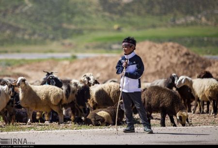 اخبار,عکس خبری,کوچ بهاره عشایر فارس