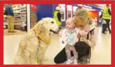اخبار,اخبار گوناگون,سگ درمانی در فرودگاه اسکاتلند