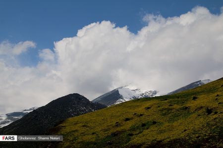 اخبار,انعکاس,بهار