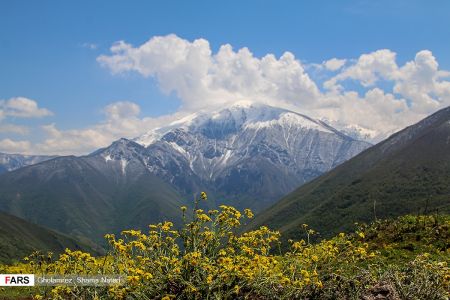 اخبار,انعکاس,بهار