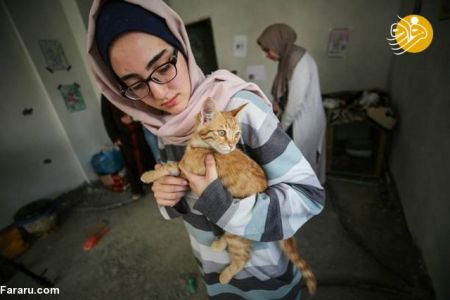 اخبار,اخبار گوناگون,علاقه دختران فلسطینی به گربه‌های خیابانی