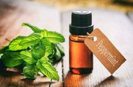 اخبار پزشکی ,خبرهای پزشکی ,روغن نعناع اخبار پزشکی ,خبرهای پزشکی,روغن نعناع