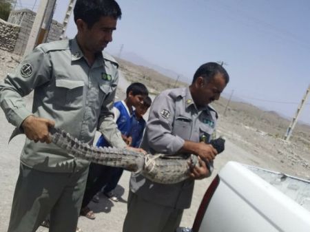اخبارحوادث,خبرهای حوادث ,حوادث روز اخبار حوادث,خبرهای حوادث ,حوادث روز