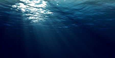 اخبار علمی,خبرهای علمی ,ماهی اخبار علمی ,خبرهای علمی,ماهی