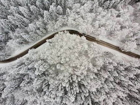 اخبارگوناگون,خبرهای گوناگون ,لحظات واقعی اخبارگوناگون,خبرهای گوناگون ,لحظات واقعی