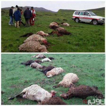 اخبارحوادث,خبرهای حوادث ,حوادث روز اخبار حوادث,خبرهای حوادث ,حوادث روز