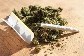 اخبار پزشکی ,خبرهای پزشکی , علائم مصرف گُل اخبار پزشکی ,خبرهای پزشکی, علائم مصرف گُل