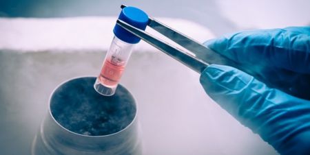 اخبار پزشکی ,خبرهای پزشکی ,فعال کردن سیستم دفاعی اخبار پزشکی ,خبرهای پزشکی,فعال کردن سیستم دفاعی