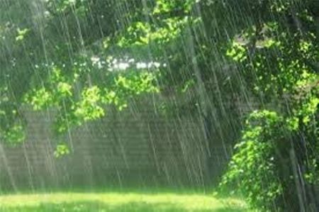 اخباراجتماعی ,خبرهای اجتماعی ,هواشناسی اخبار اجتماعی ,خبرهای اجتماعی,هواشناسی