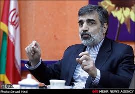 اخبارسیاسی ,خبرهای سیاسی ,سازمان انرژی اتمی اخبارسیاسی ,خبرهای سیاسی ,سازمان انرژی اتمی