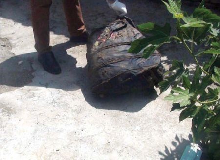 اخبارحوادث,خبرهای حوادث ,حوادث روز اخبار حوادث,خبرهای حوادث ,حوادث روز