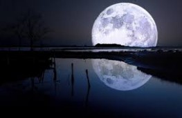 اخبار علمی,خبرهای علمی ,ماه اخبار علمی ,خبرهای علمی,ماه