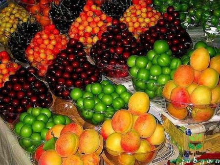 اخبار اقتصادی ,خبرهای اقتصادی , میوه اخبار اقتصادی ,خبرهای اقتصادی , میوه