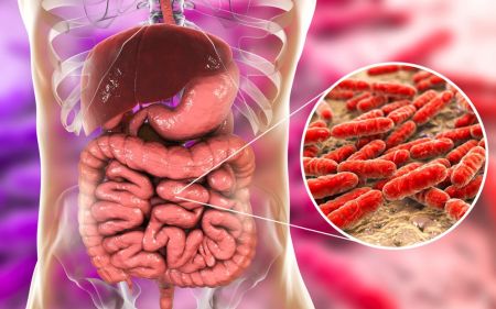 اخبار پزشکی ,خبرهای پزشکی ,استرس اخبار پزشکی ,خبرهای پزشکی,استرس