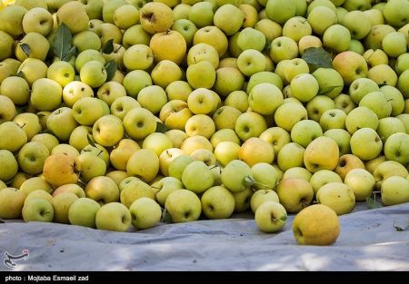 اخبار اقتصادی ,خبرهای اقتصادی ,کالای اساسی اخبار اقتصادی ,خبرهای اقتصادی ,کالای اساسی