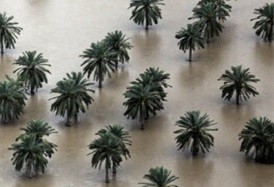اخباراجتماعی ,خبرهای اجتماعی ,هواشناسی اخبار اجتماعی ,خبرهای اجتماعی,هواشناسی